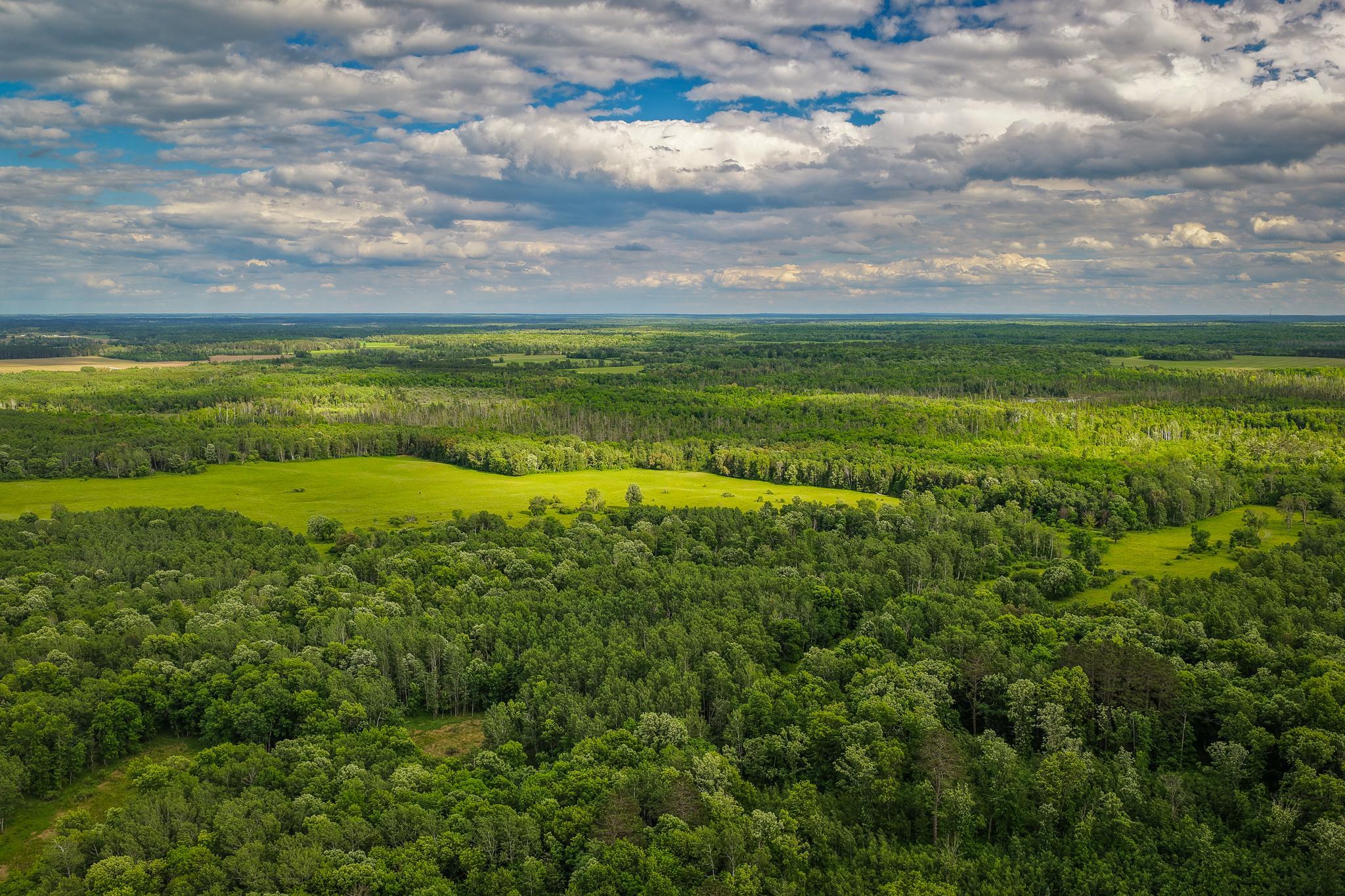 AW_ShevlinAcreage-