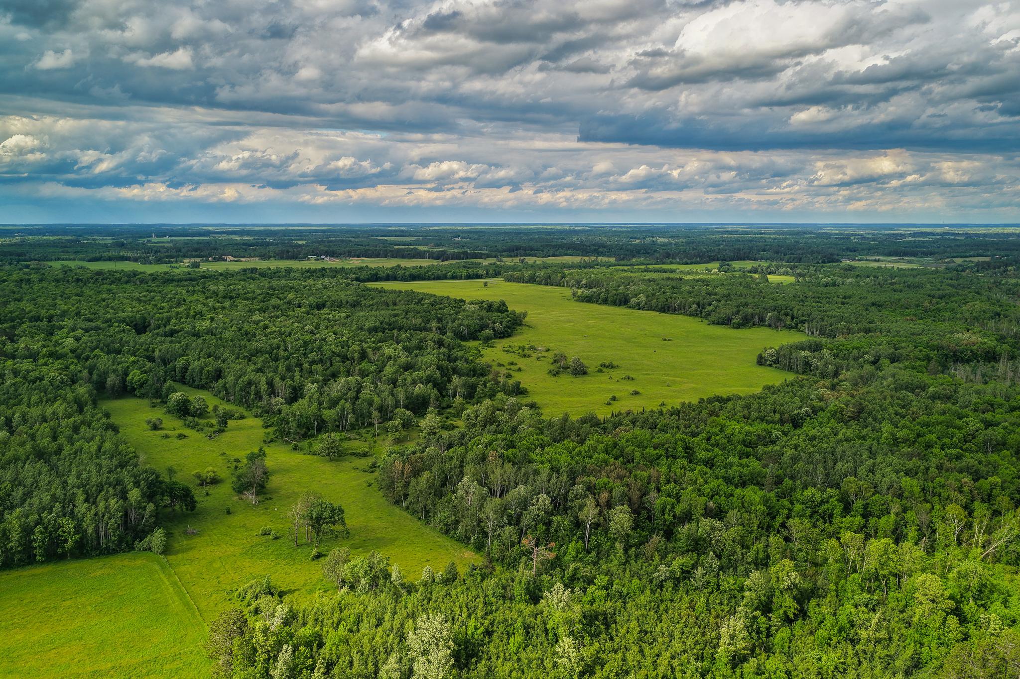 AW_ShevlinAcreage-