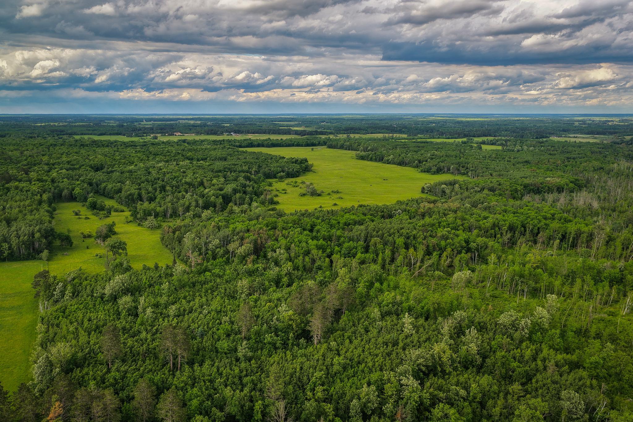 AW_ShevlinAcreage-
