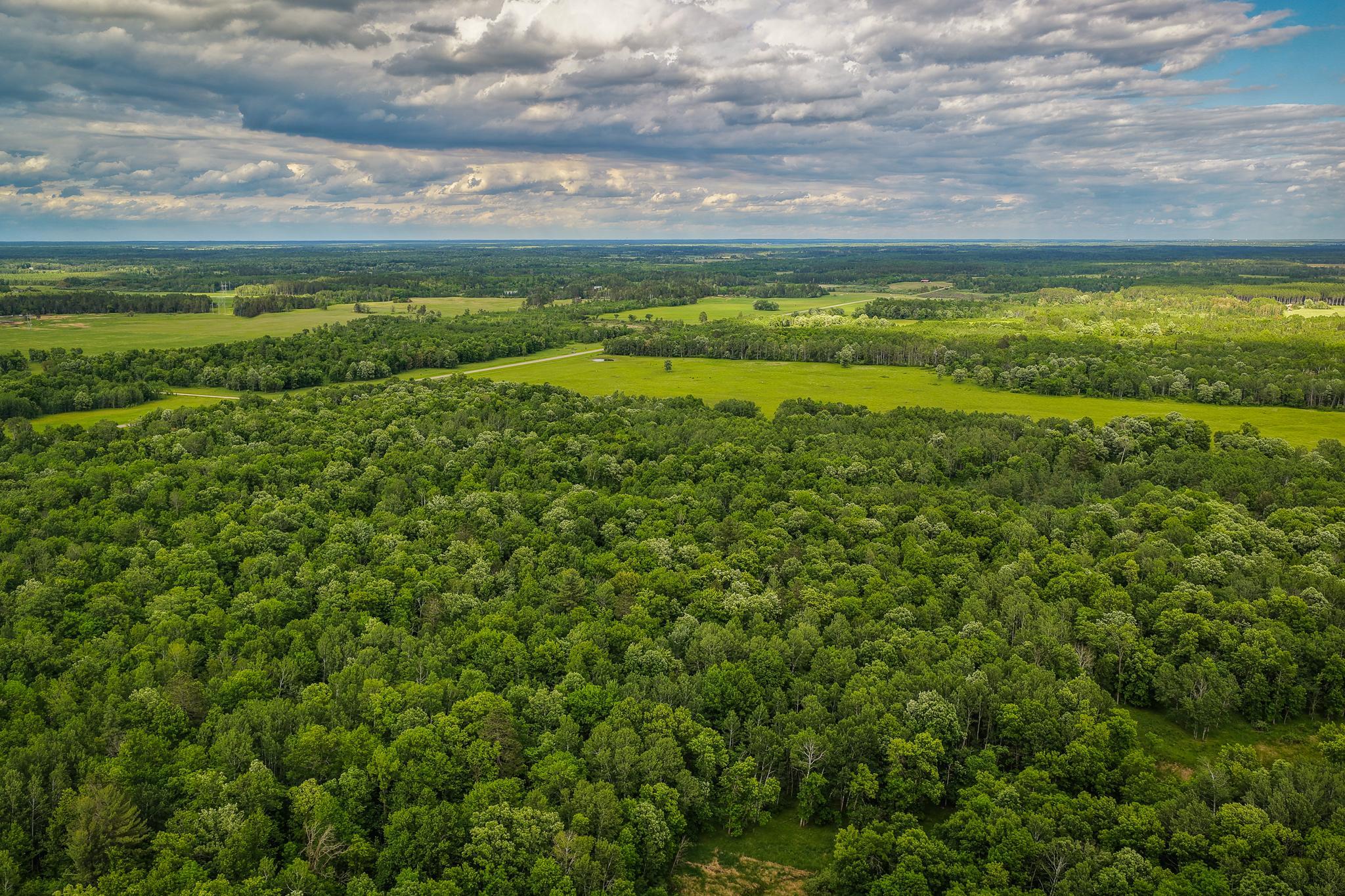 AW_ShevlinAcreage-