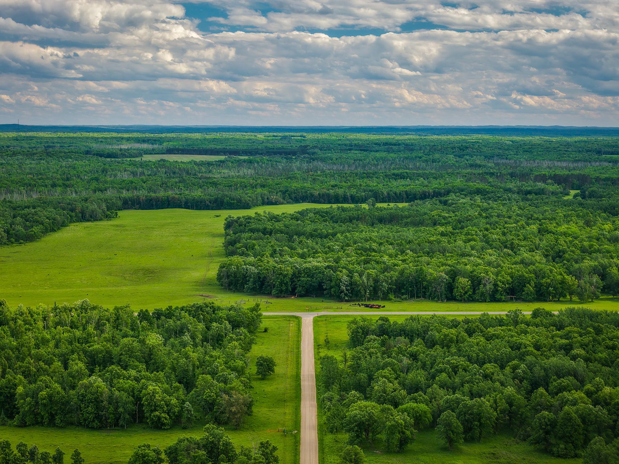 AW_ShevlinAcreage-