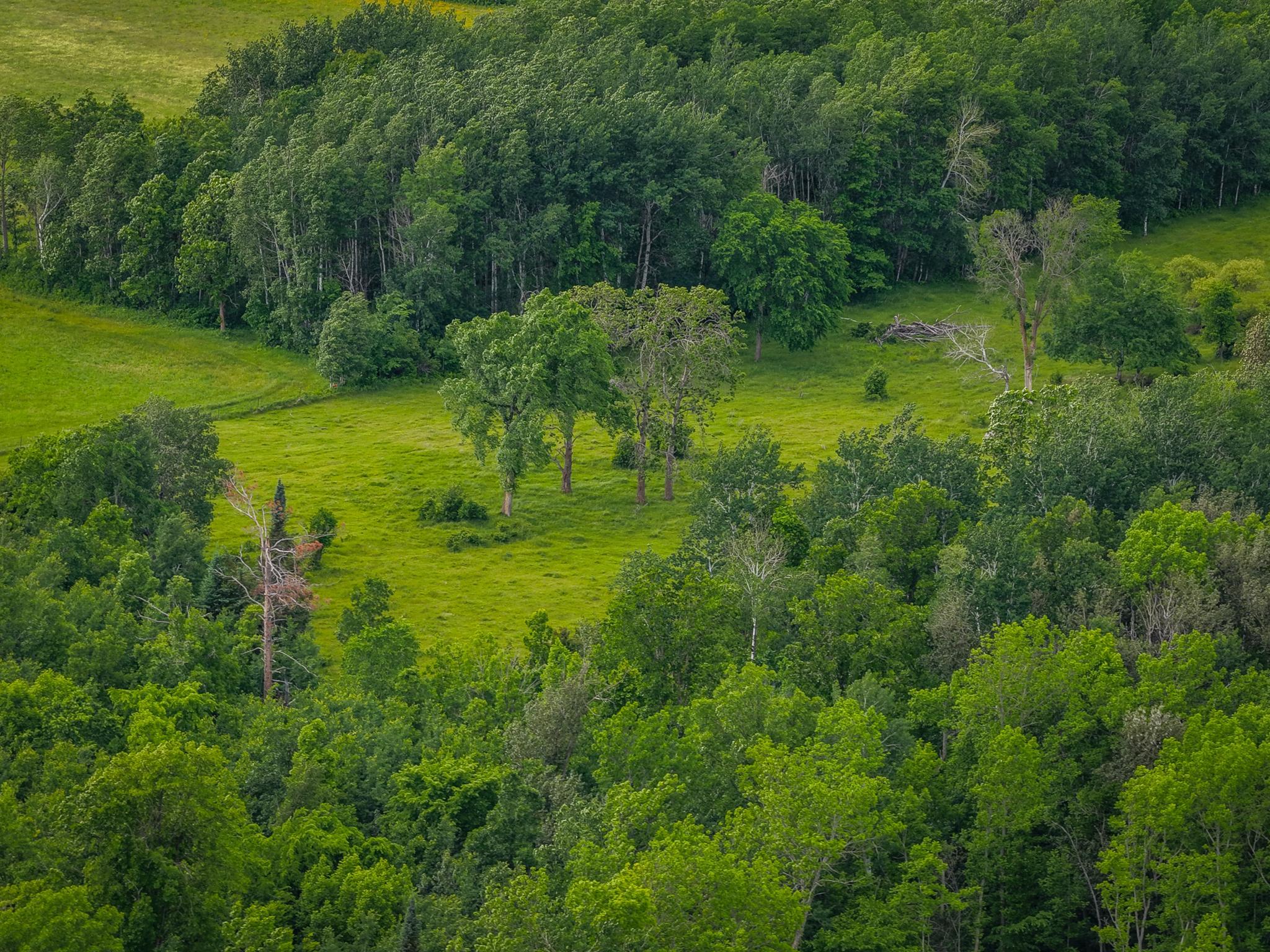 AW_ShevlinAcreage-