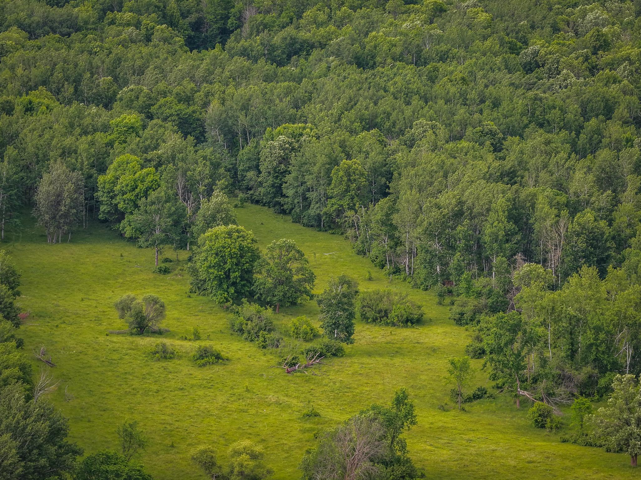 AW_ShevlinAcreage-