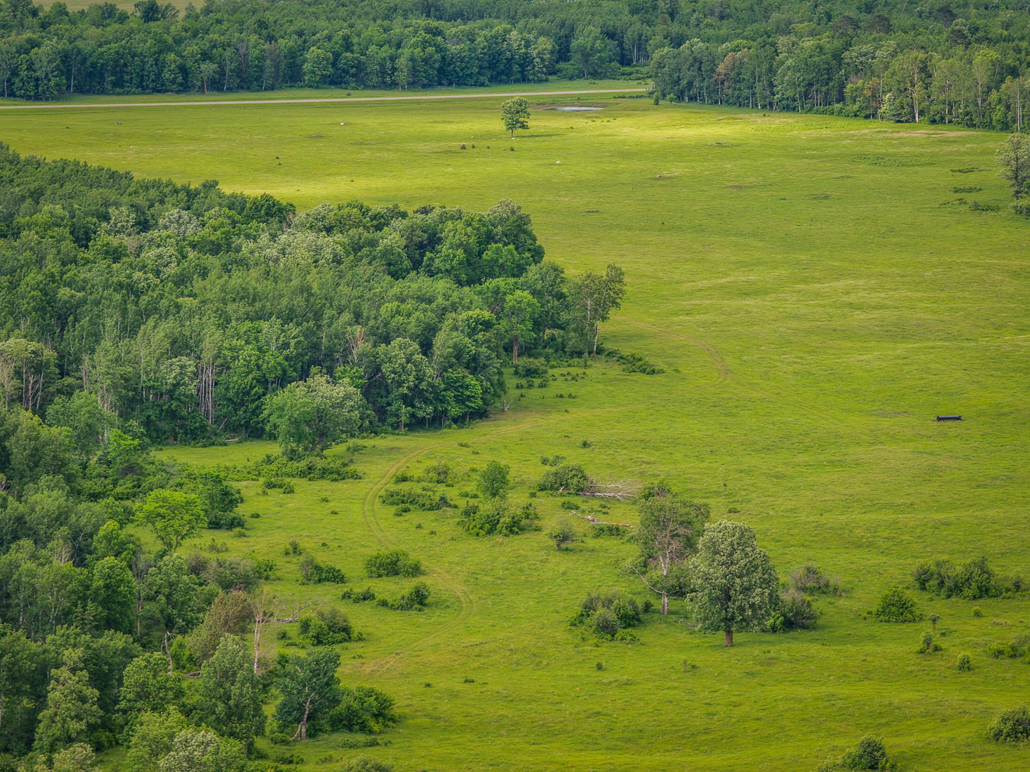 AW_ShevlinAcreage-