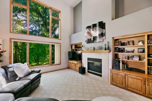 10725 55th Ave N, Plymouth, MN 55442_0_30.jpg