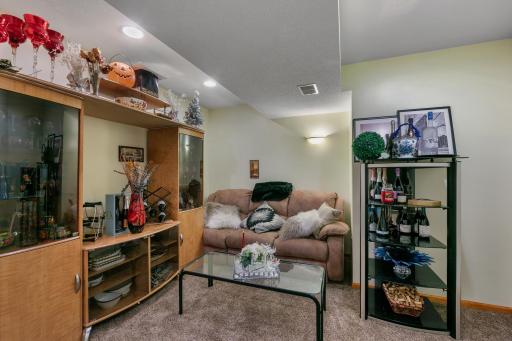 10725 55th Ave N, Plymouth, MN 55442_0_15.jpg