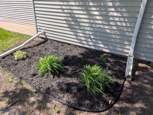 Side Yard