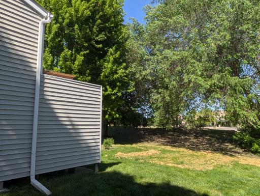 Back Deck