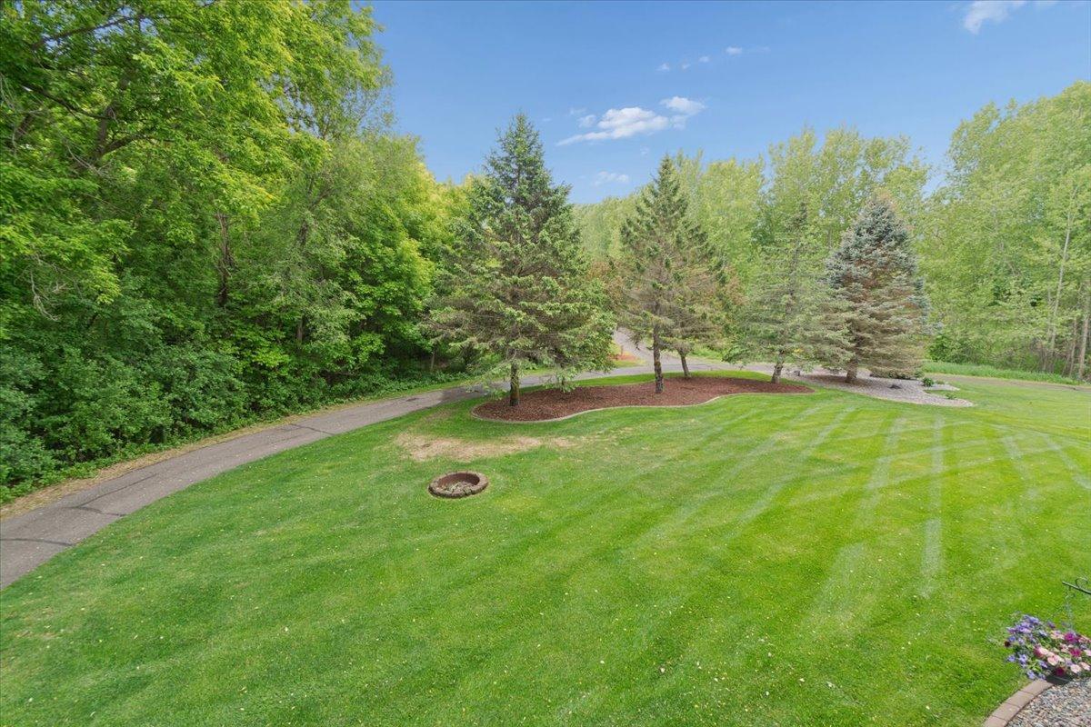 Spacious Back Yard With Privacy