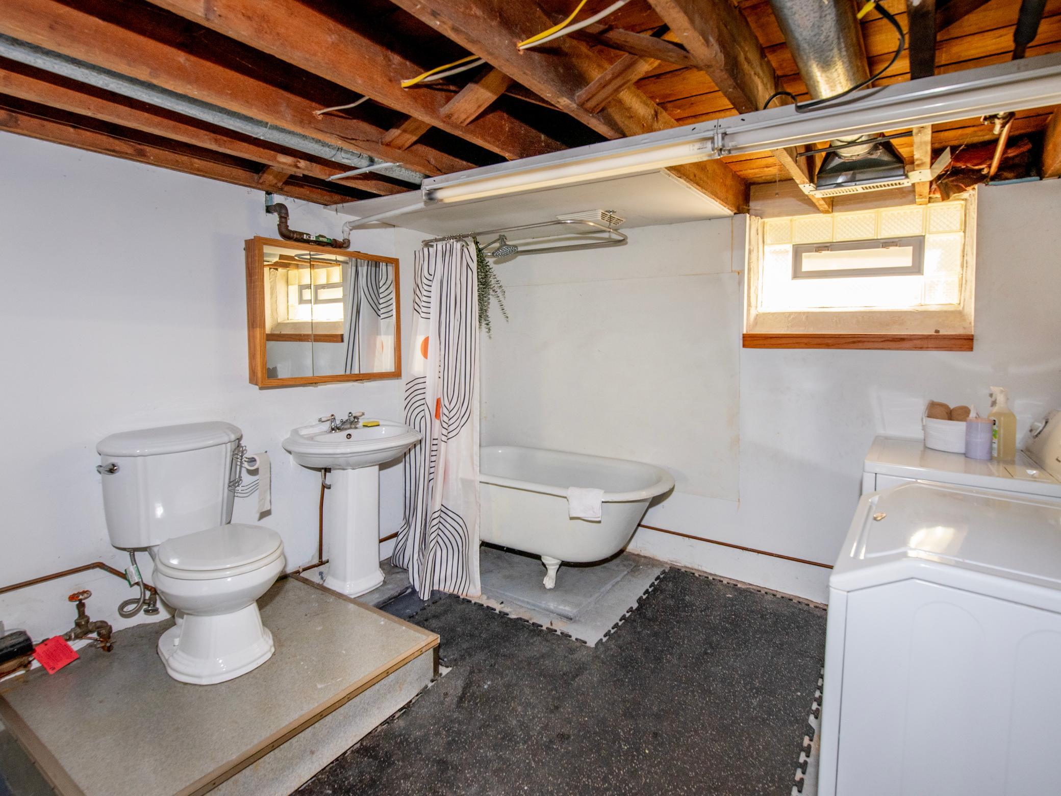 Lower level bathroom