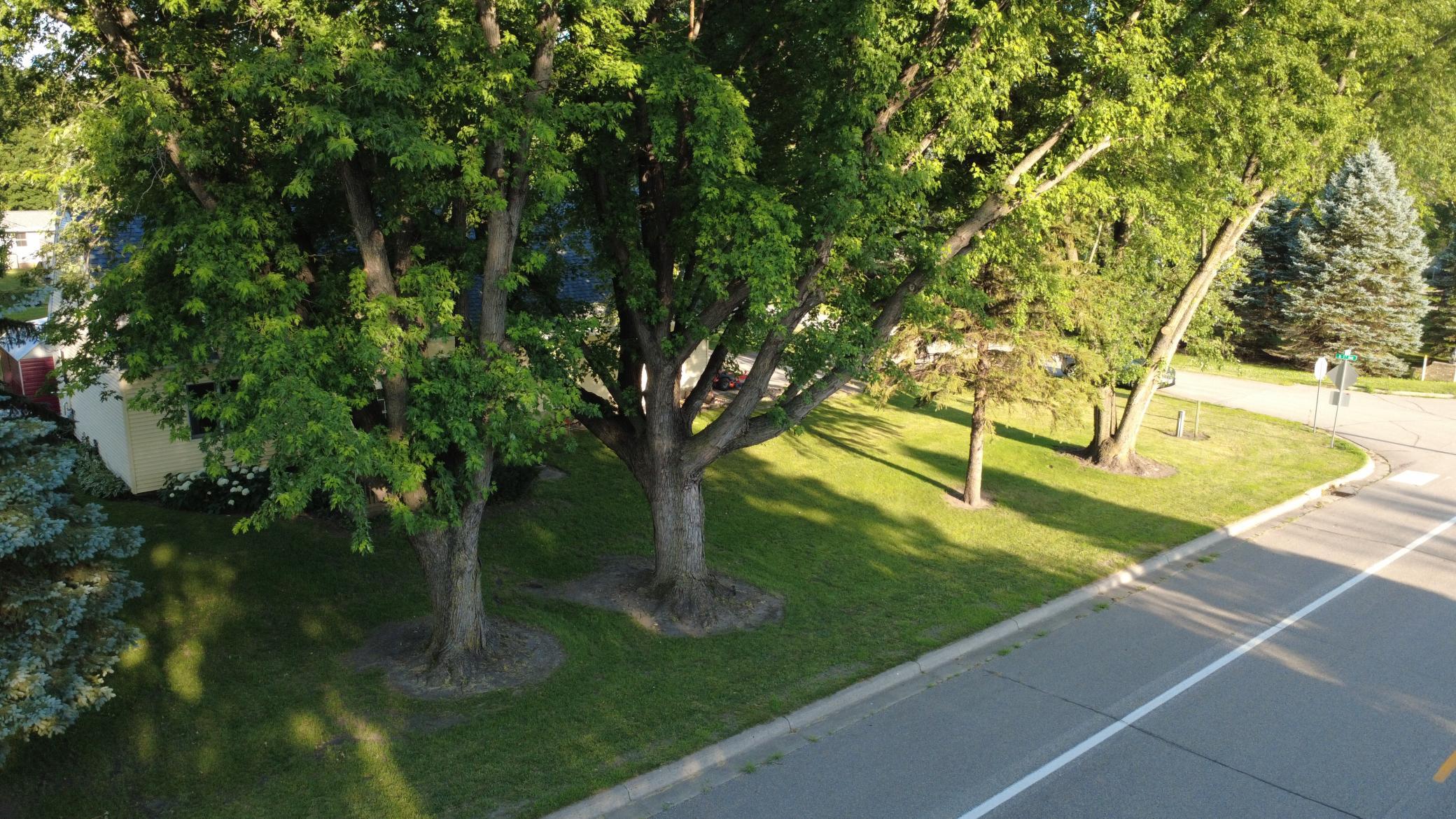DJI_0391.JPG