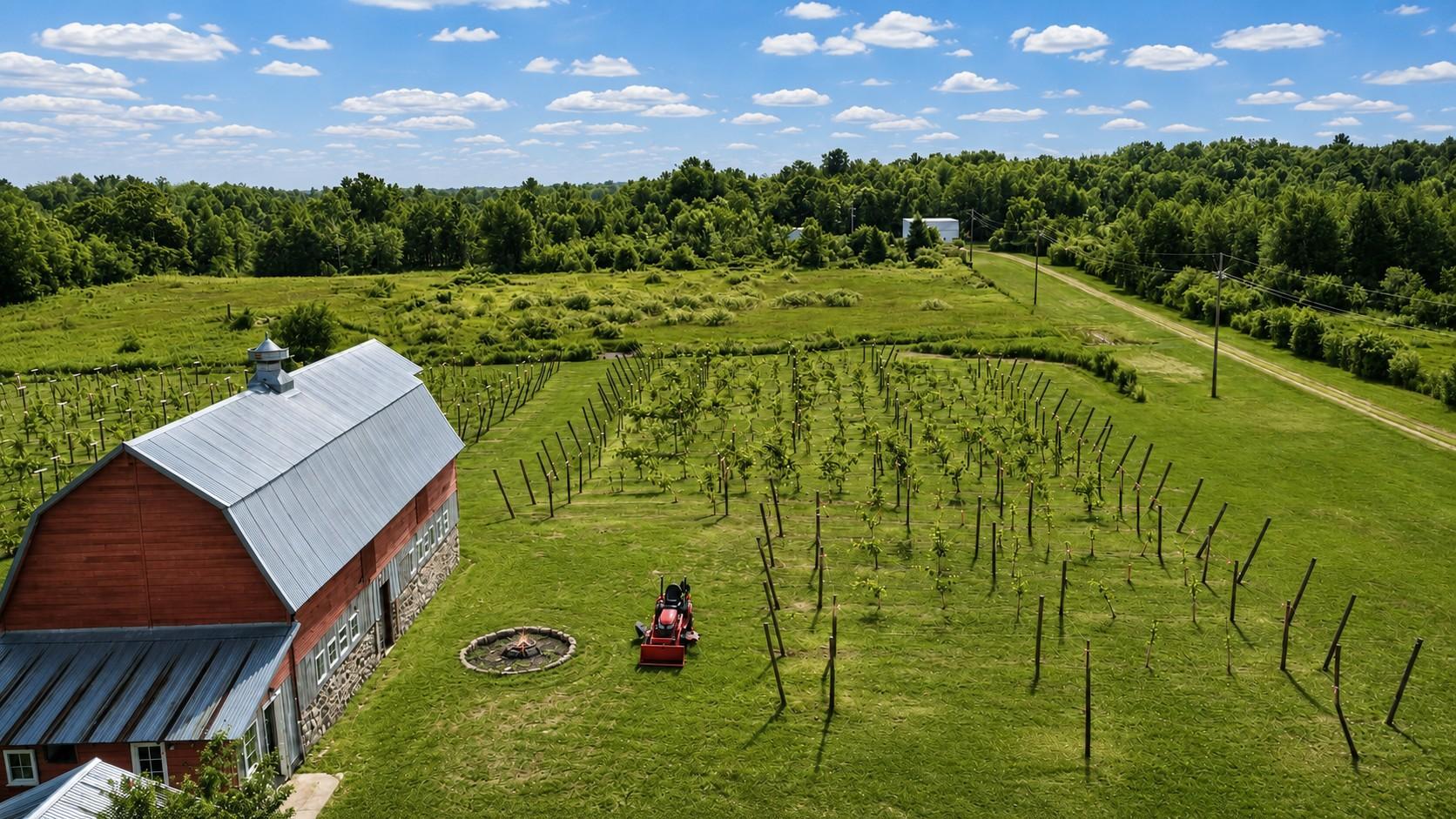 Exterior Vines Barn 2