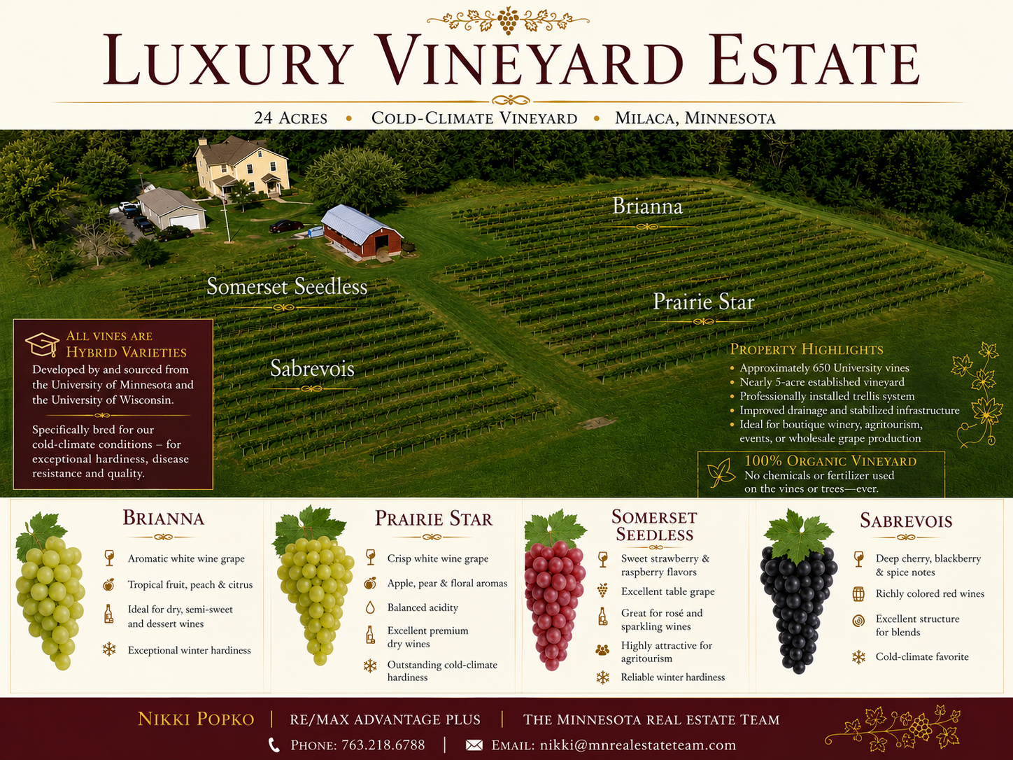 VineyardBrochure.png