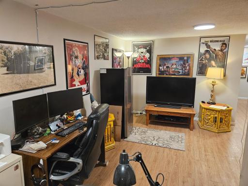 Basement Family Room