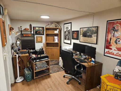 Basement Family Room