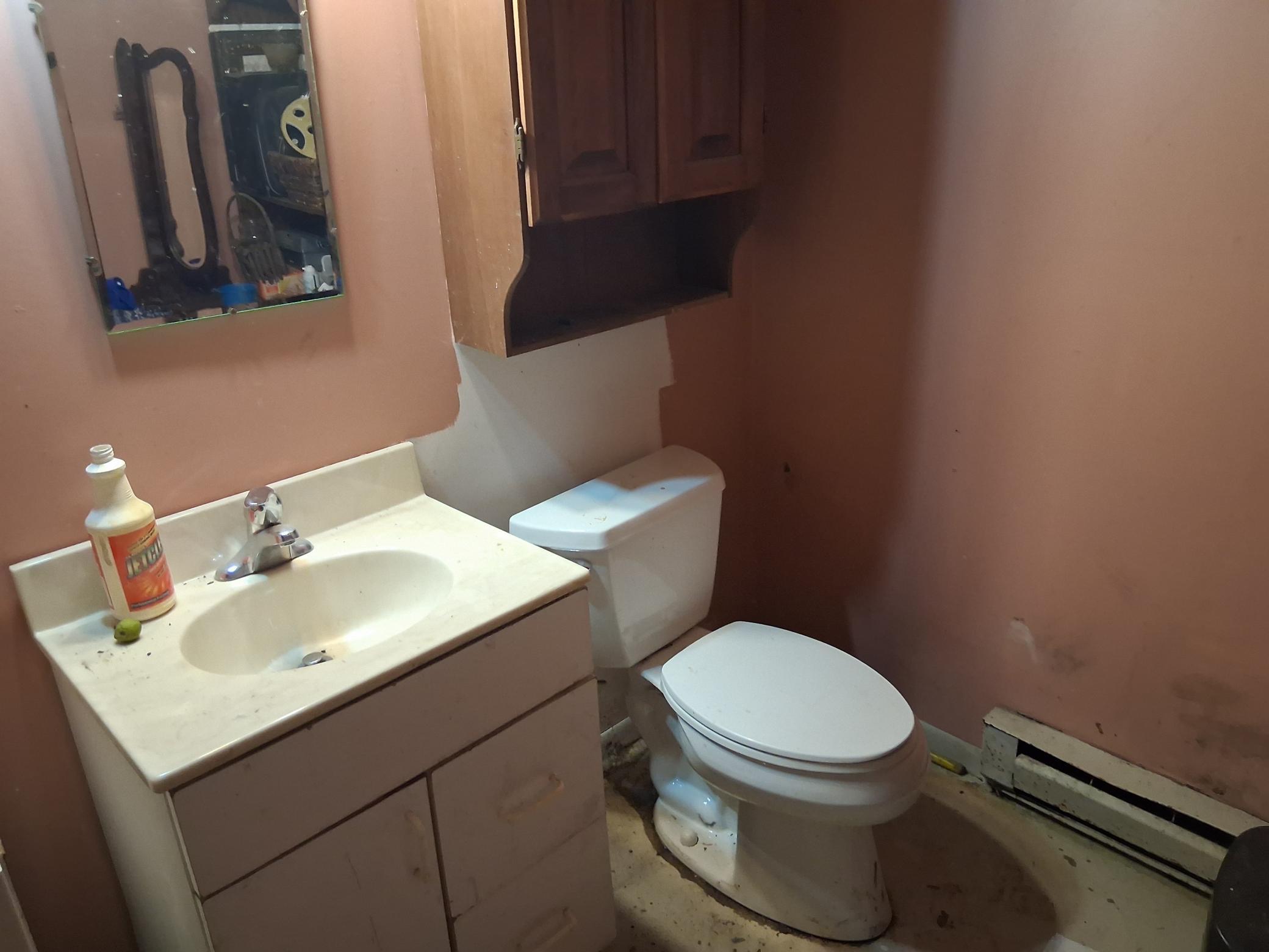 lower_level_bathroom.jpg