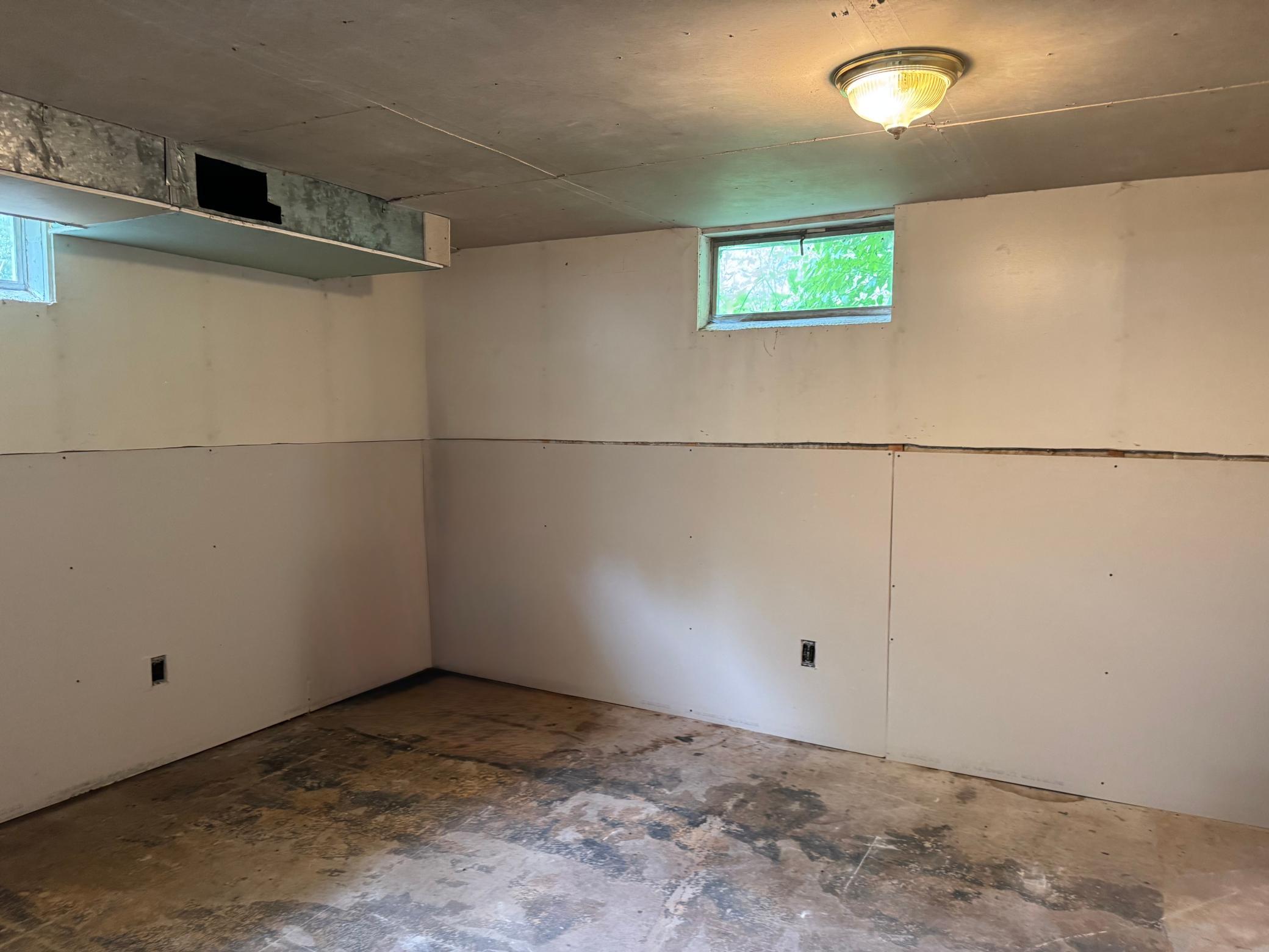 Walkout Basement - Flex Room