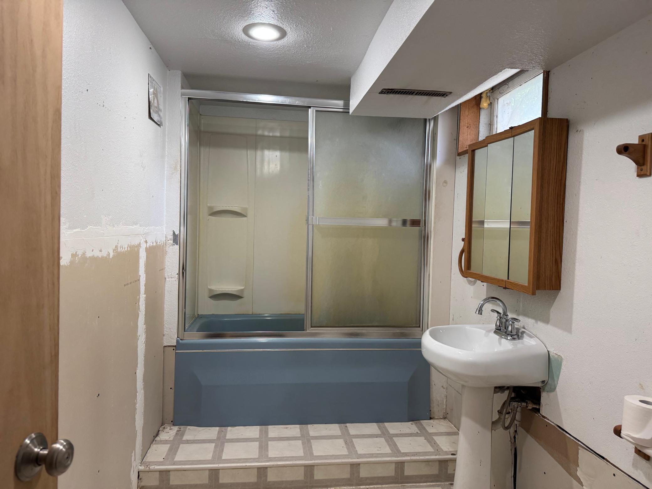 Walkout Basement - Bathroom