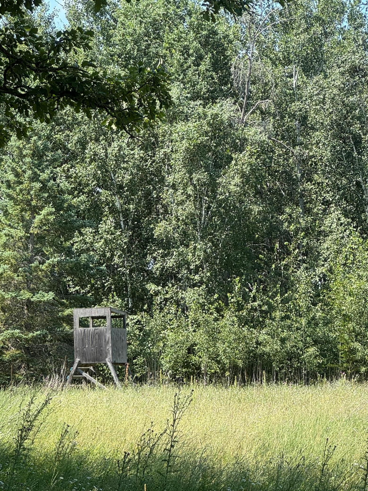 Deer Stand Included