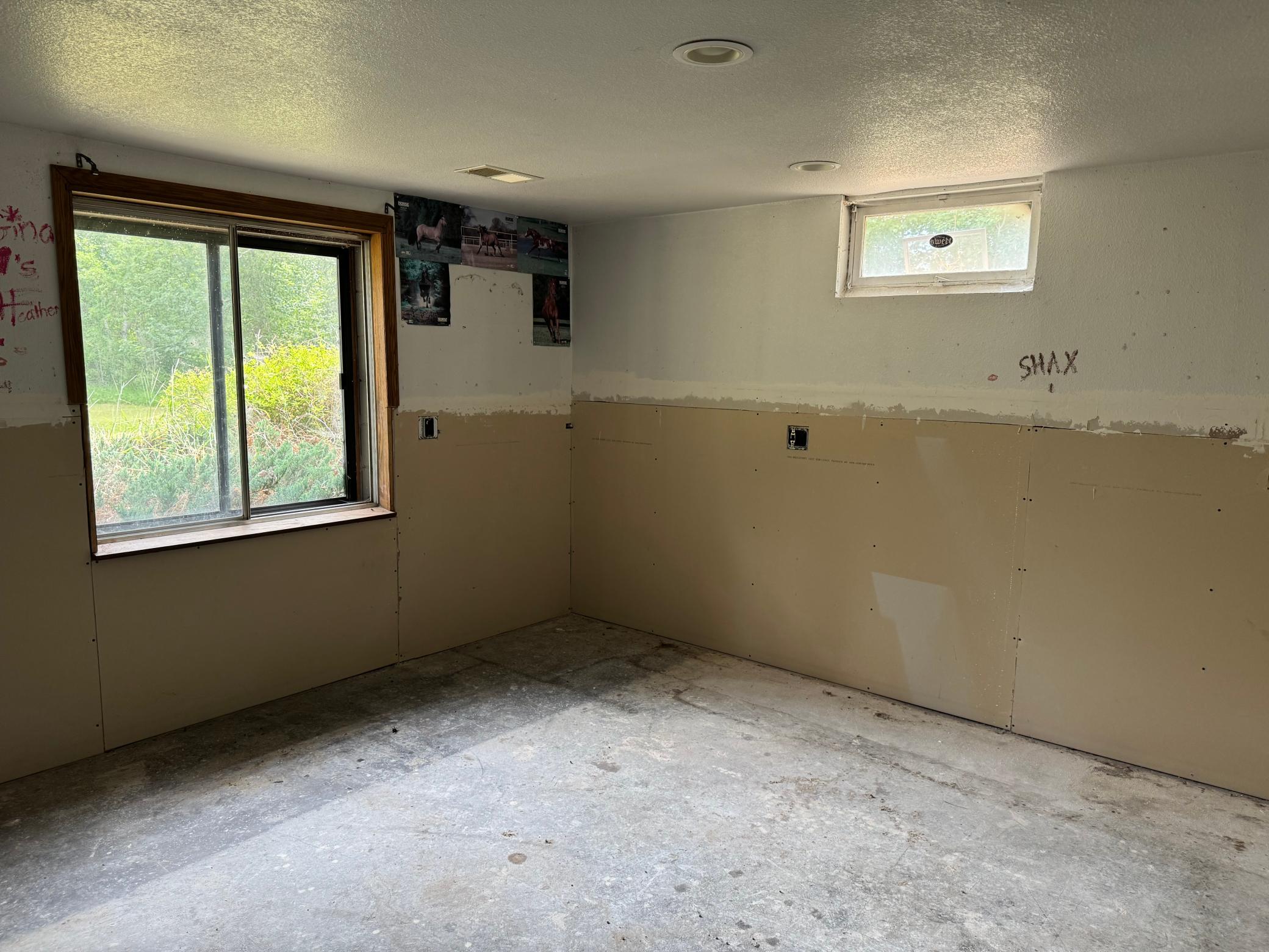 Walkout Basement - Bedroom 4