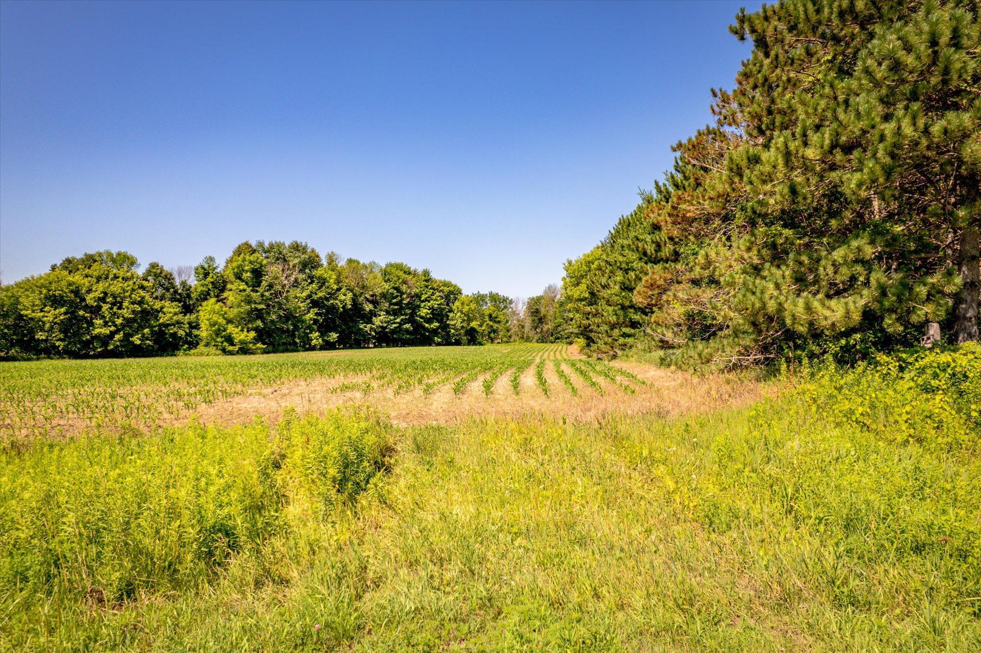 18-Sugarbush-18.jpg