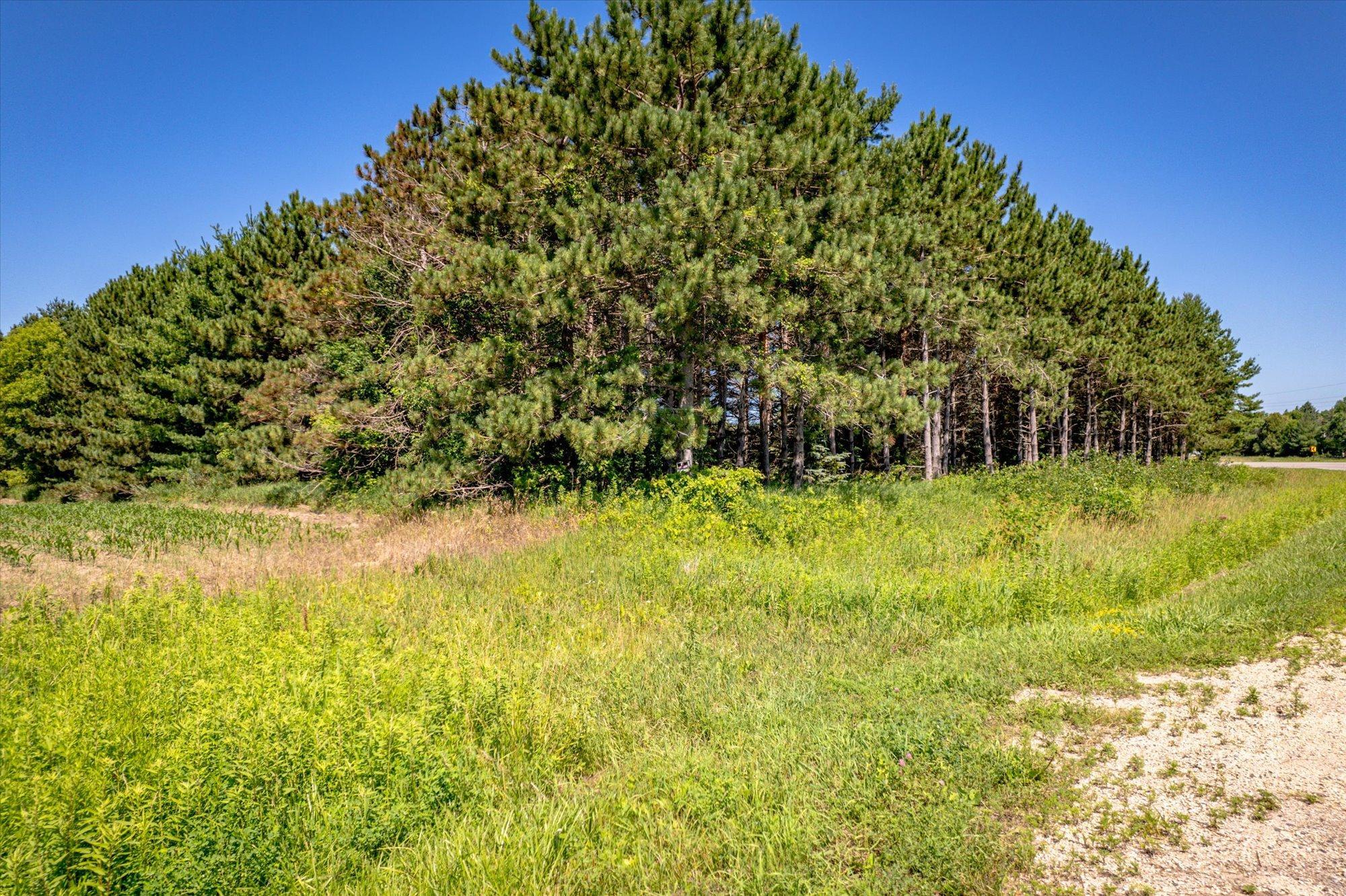 17-Sugarbush-17.jpg