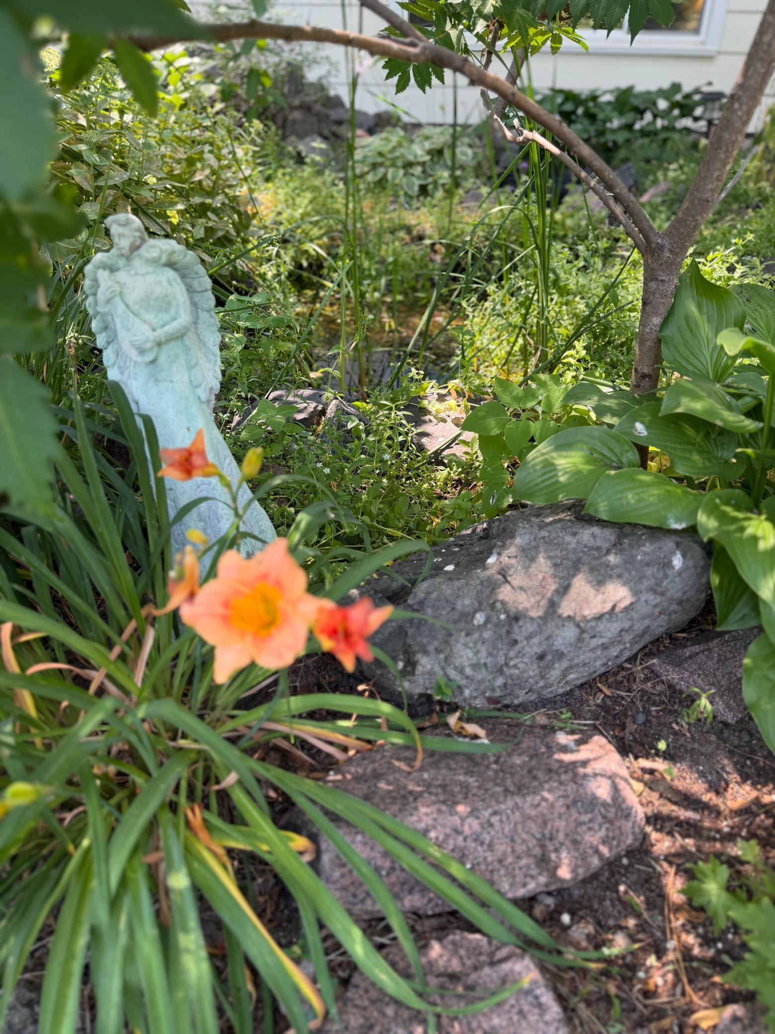 Small Pond By The Deck