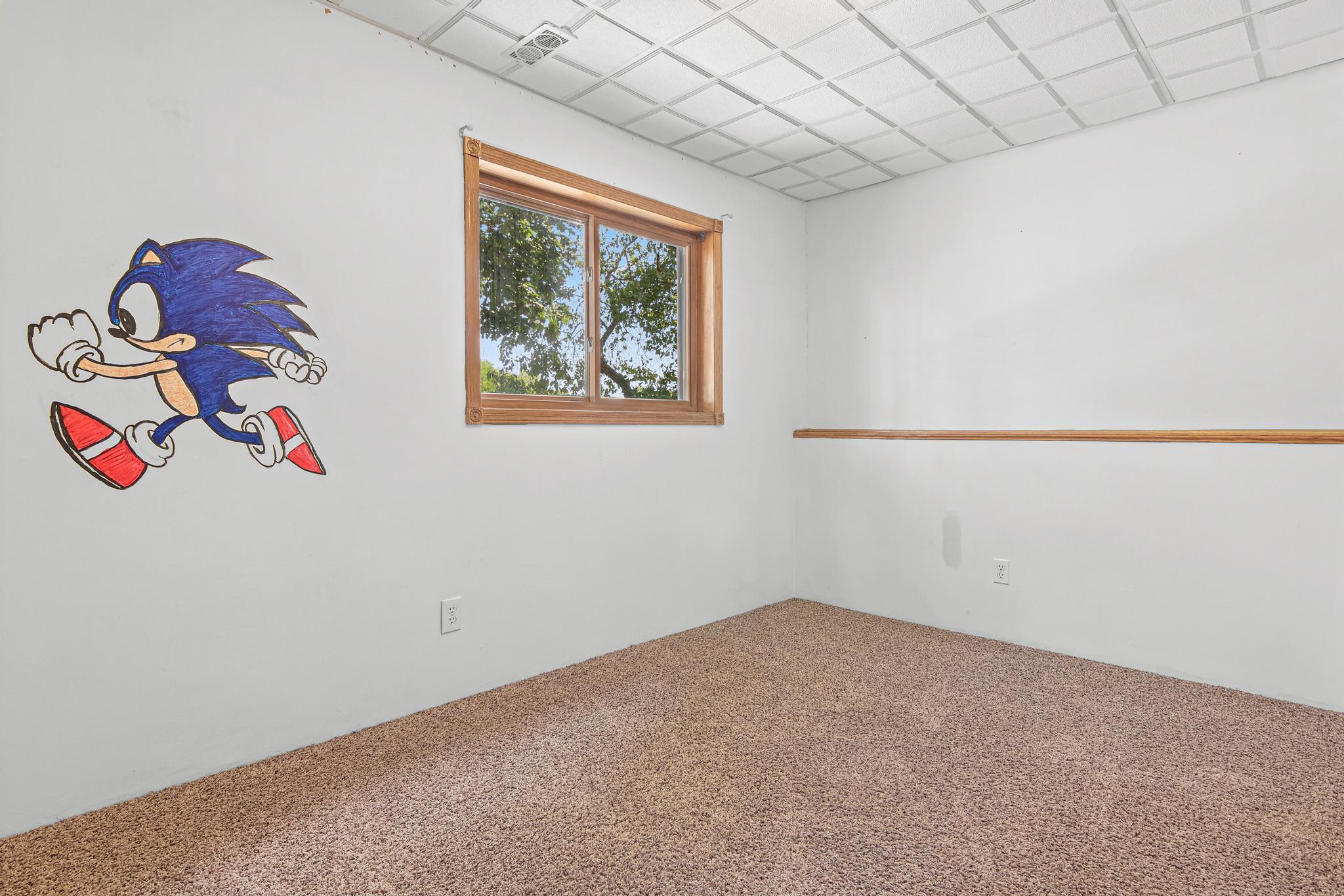 Lower level bedroom #2
