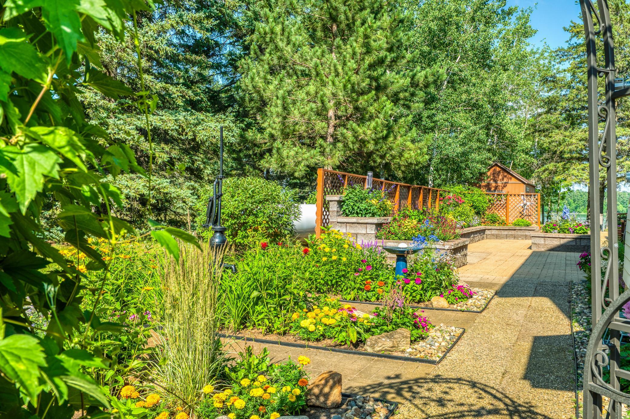Garden