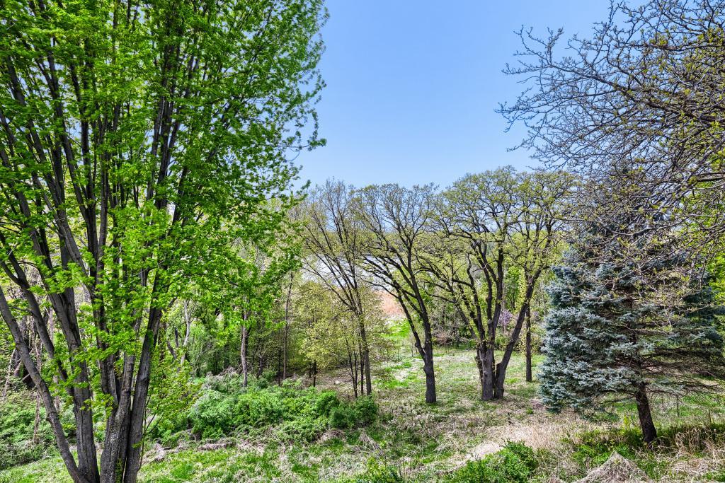 Views of Property/Wetlands