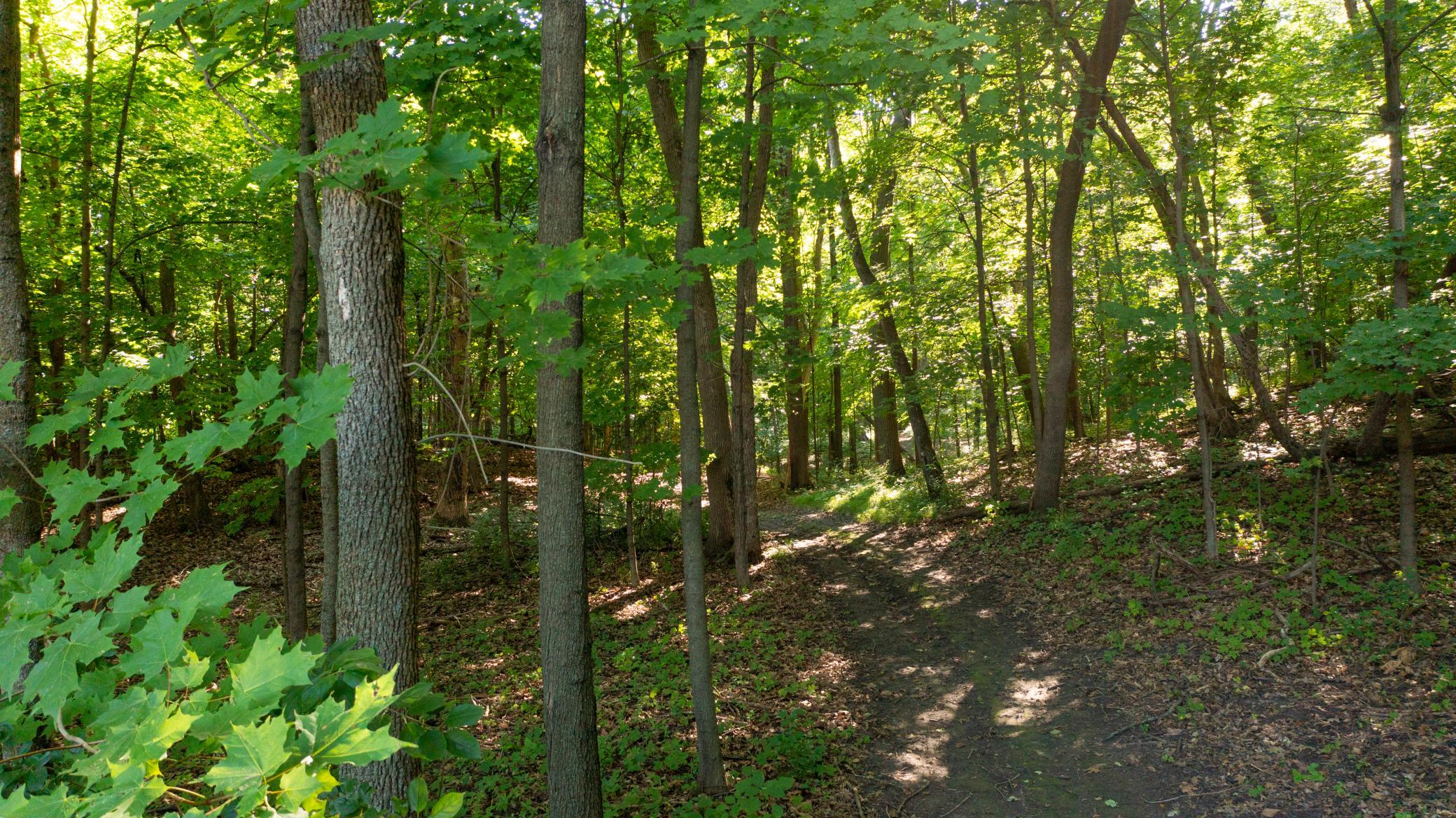 1625 Blackfoot Trail 1.jpg
