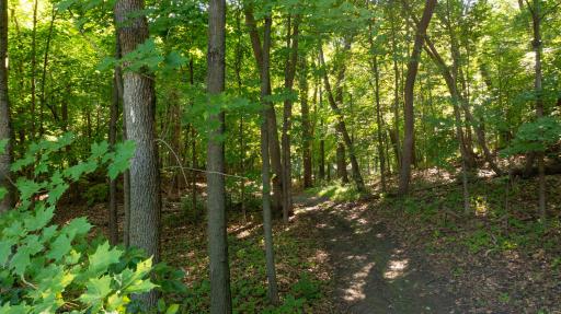 1625 Blackfoot Trail, Medina, MN 55356