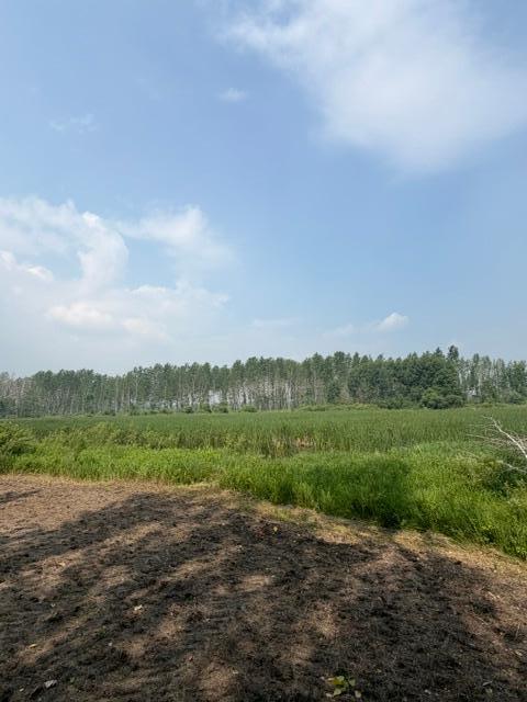 IMG_7338.jpeg