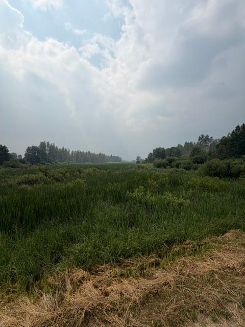 IMG_7343.jpeg