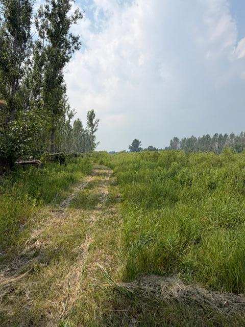 IMG_7339.jpeg