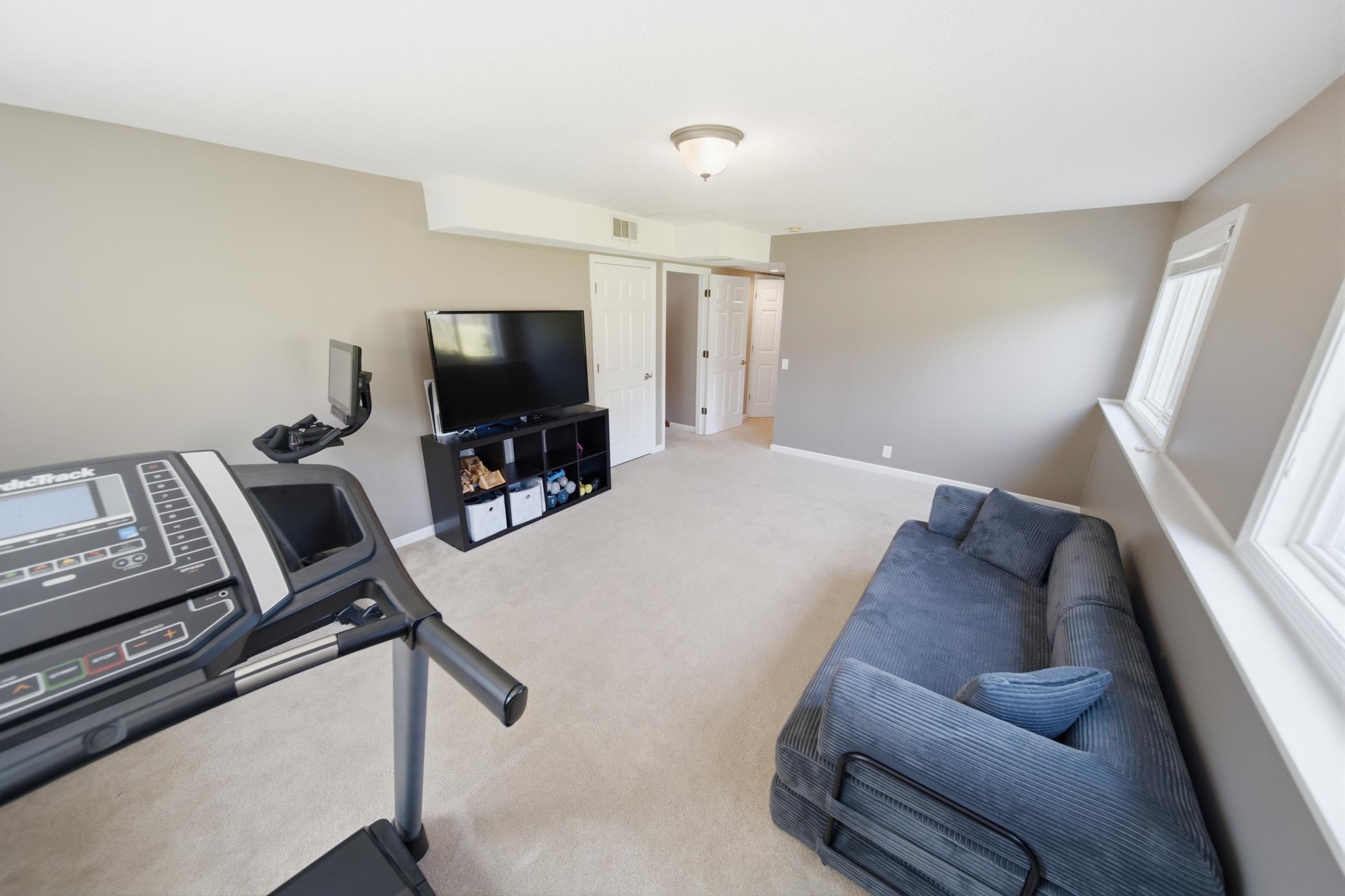 Family Room Lower level