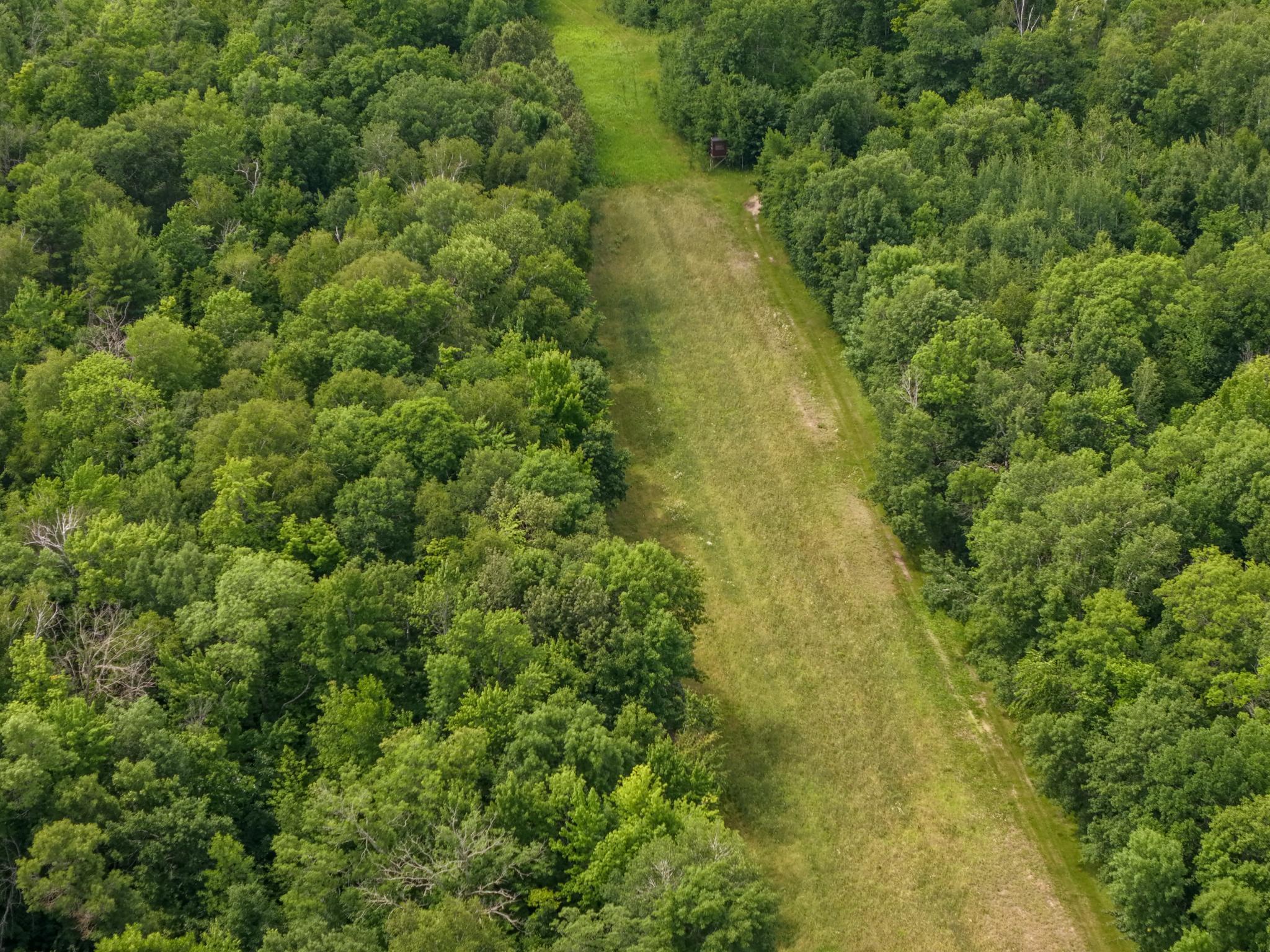 Land for sale-10.jpg
