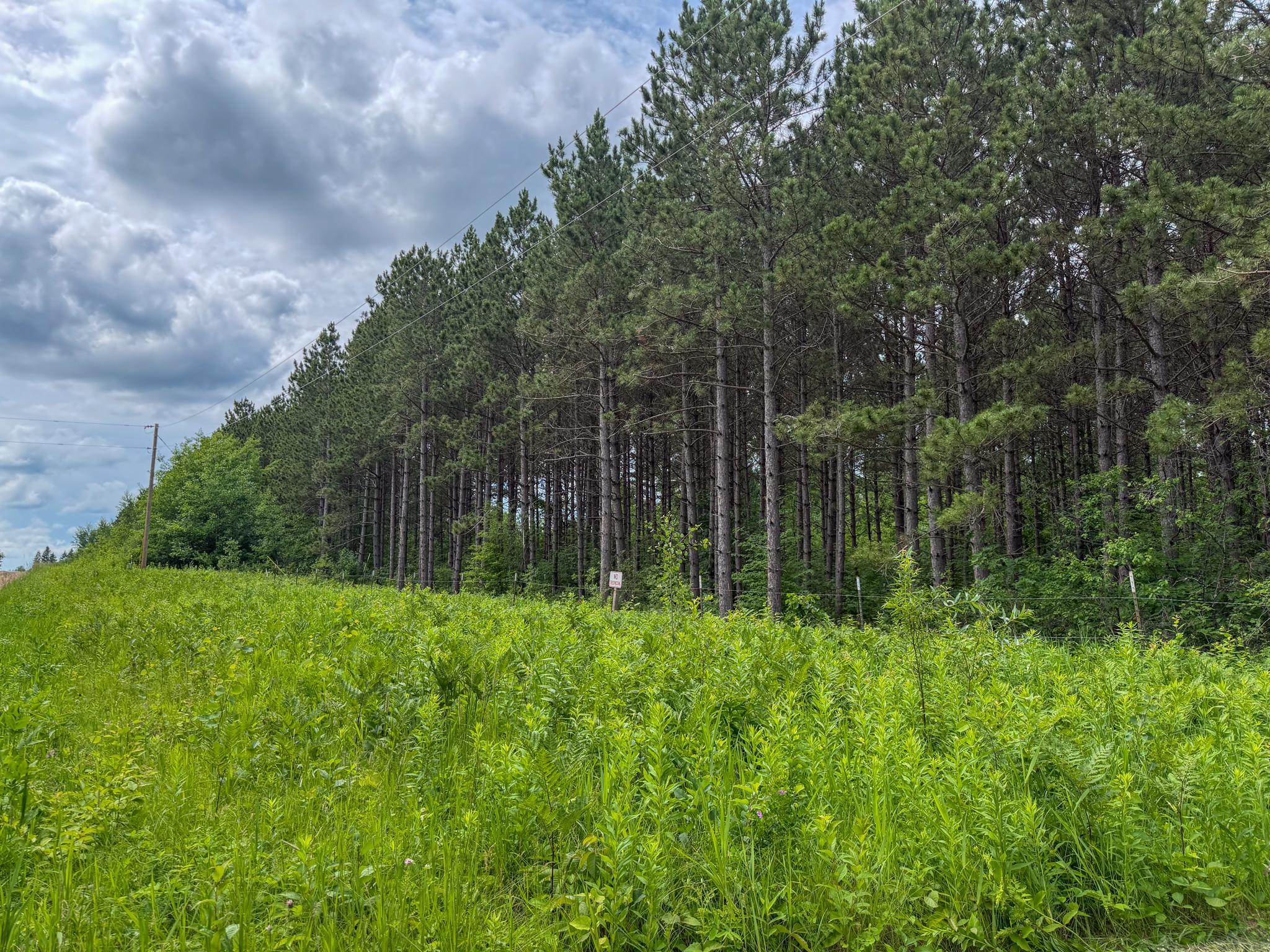 Land for sale-22.jpg
