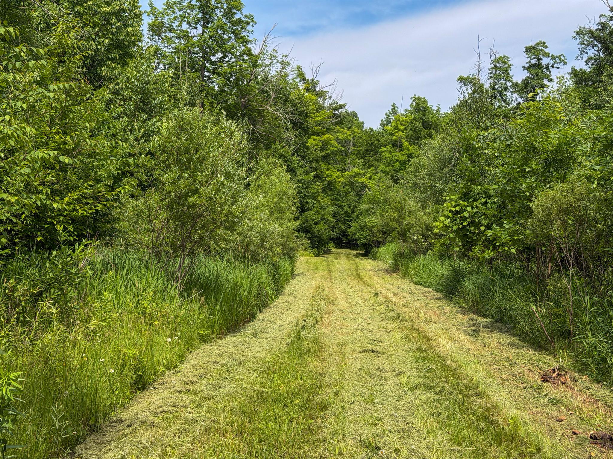 Land for sale-26.jpg