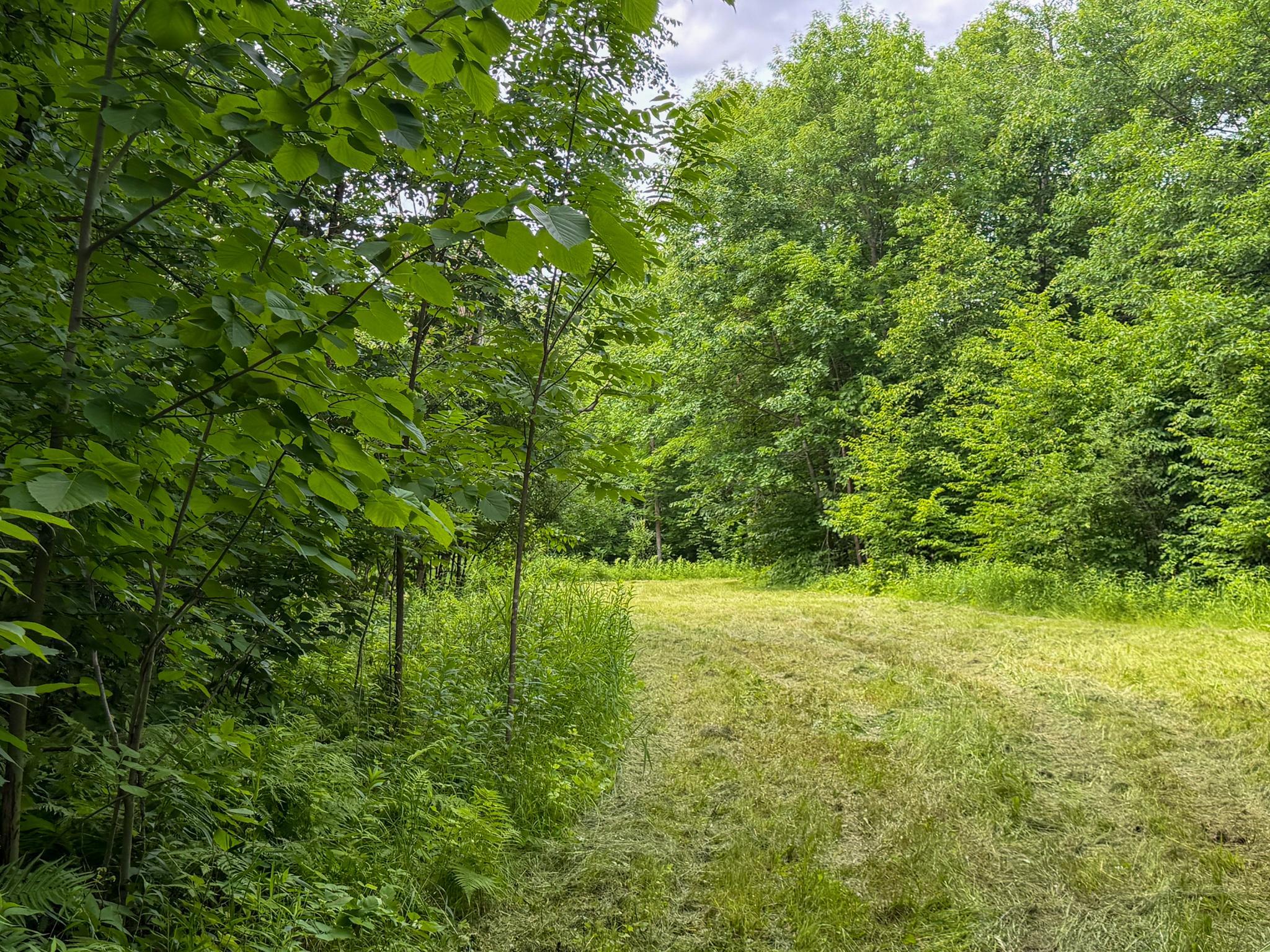 Land for sale-24.jpg