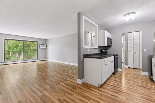 1304 W Medicine Lake Drive, 320, Minneapolis, MN 55441
