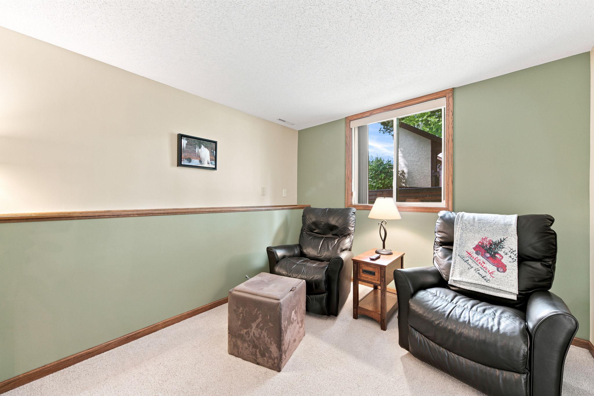 2nd lower level bedroom.
