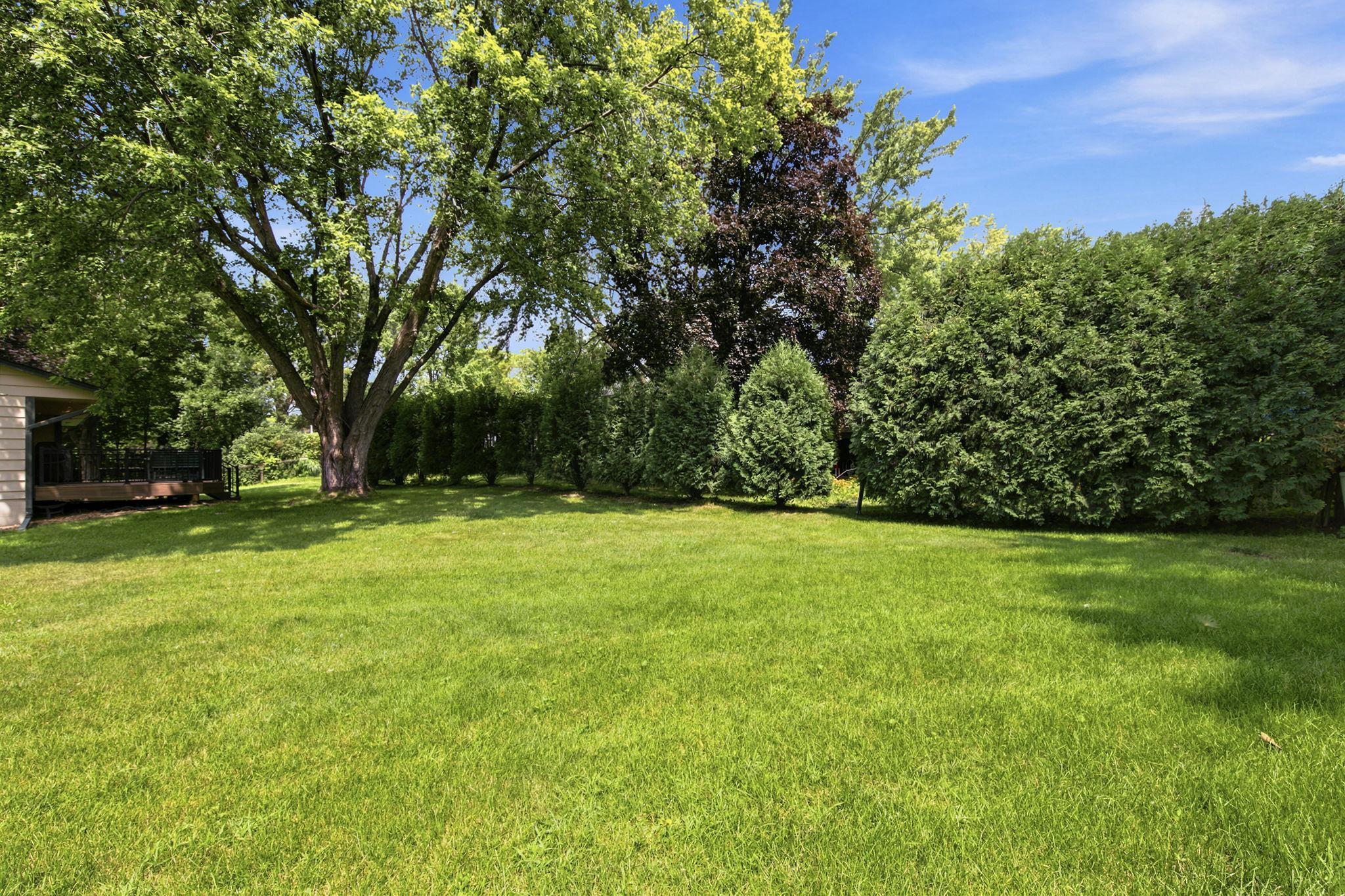 Gorgeous, green lawn and trees lining the back of the property!