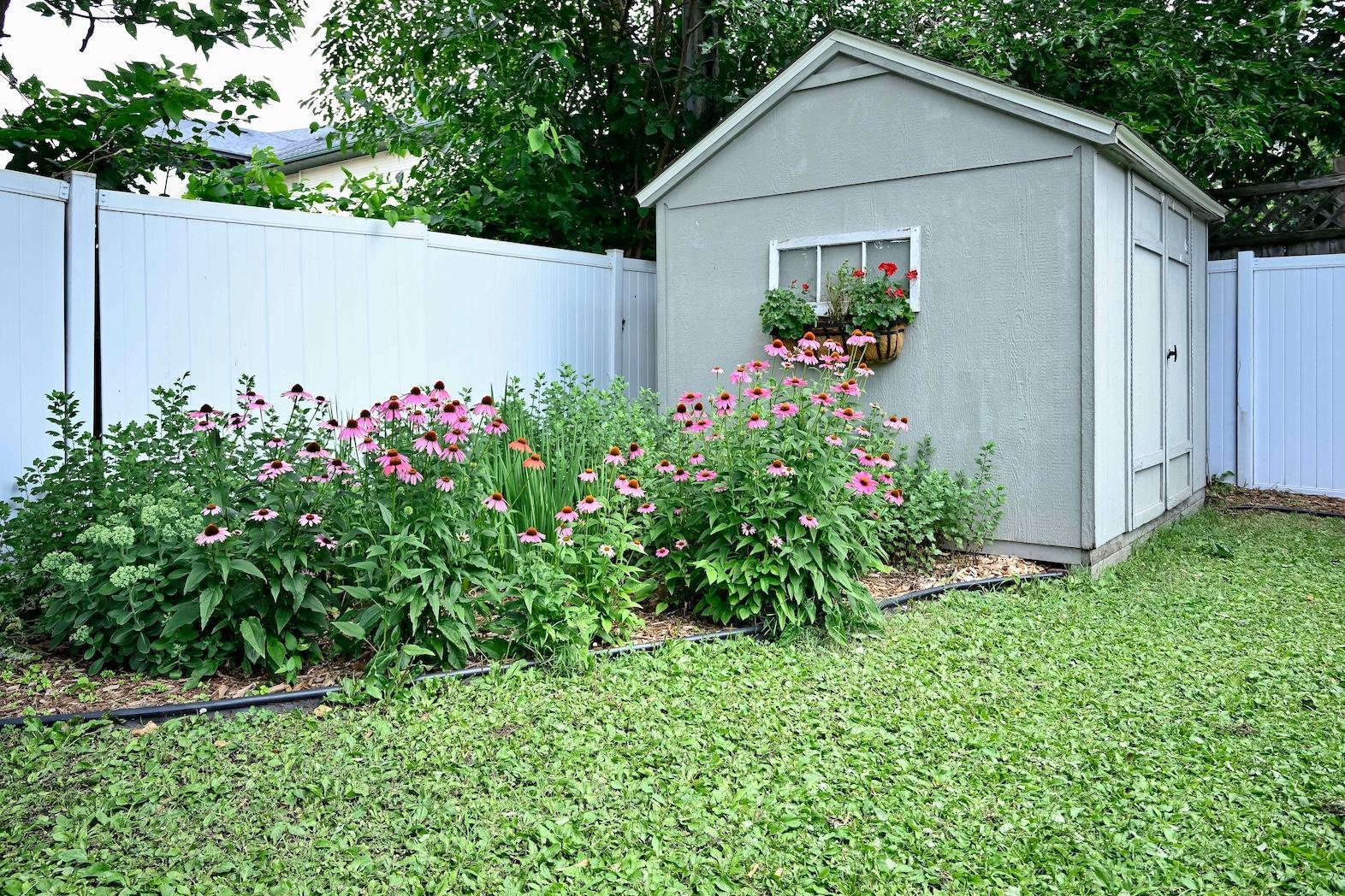 39 Established Perennials.jpg