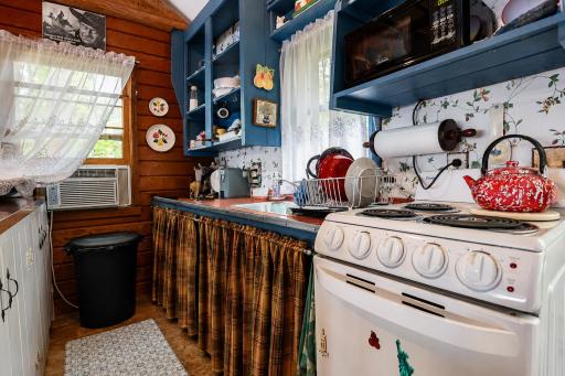 20876 S Moose Point Road, Grand Rapids, MN 55744