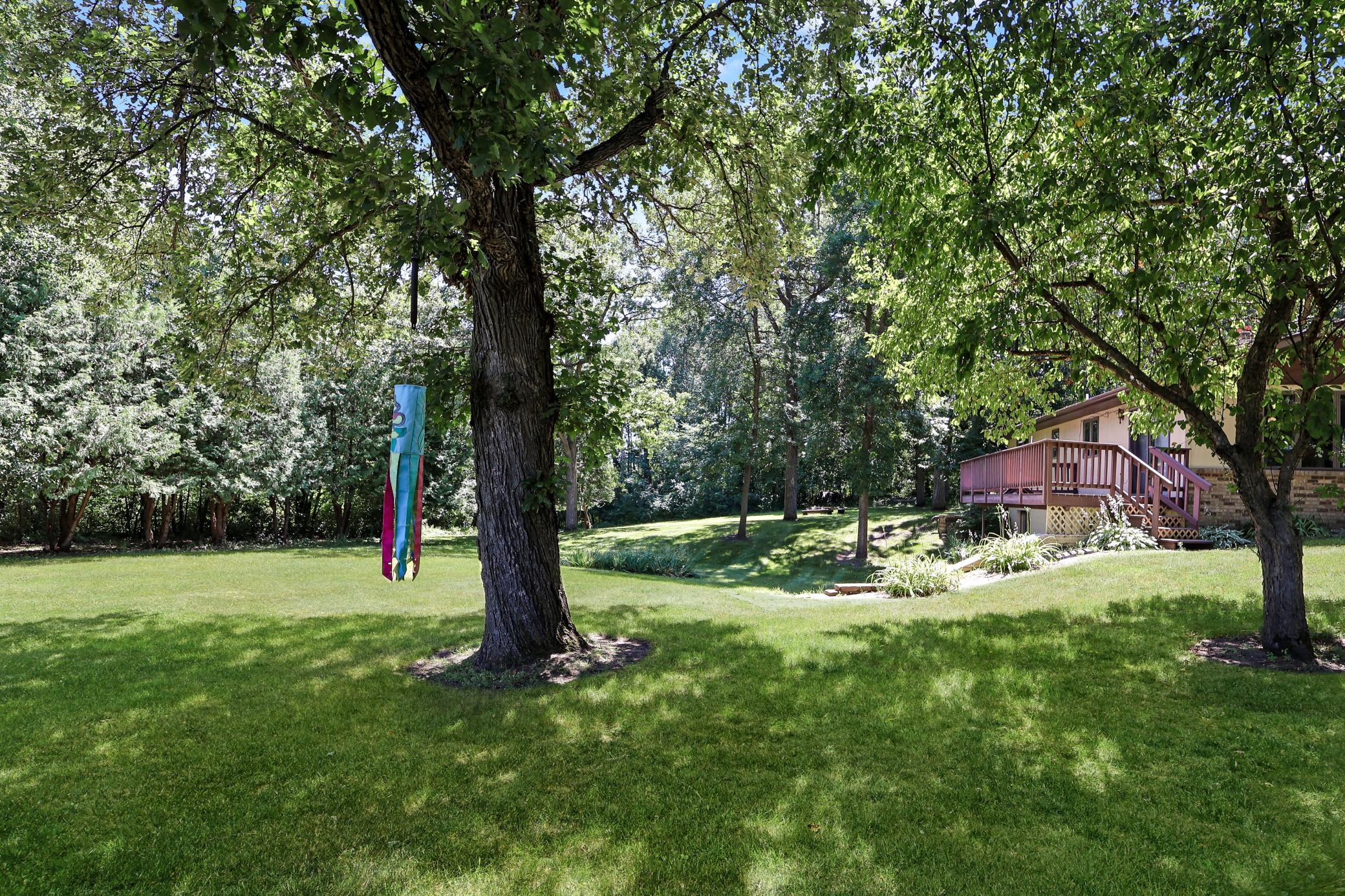 Front side yard.jpg