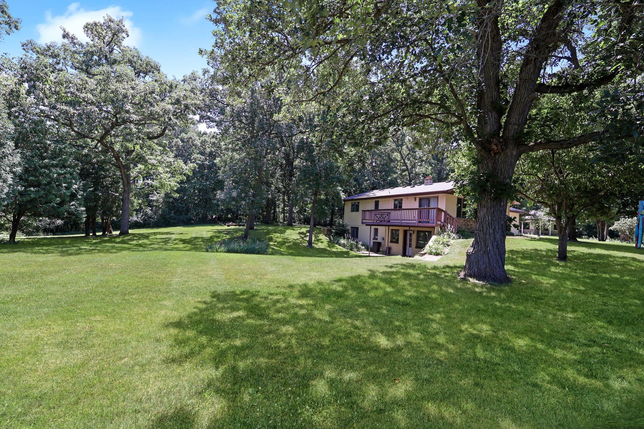 Backyard.jpg