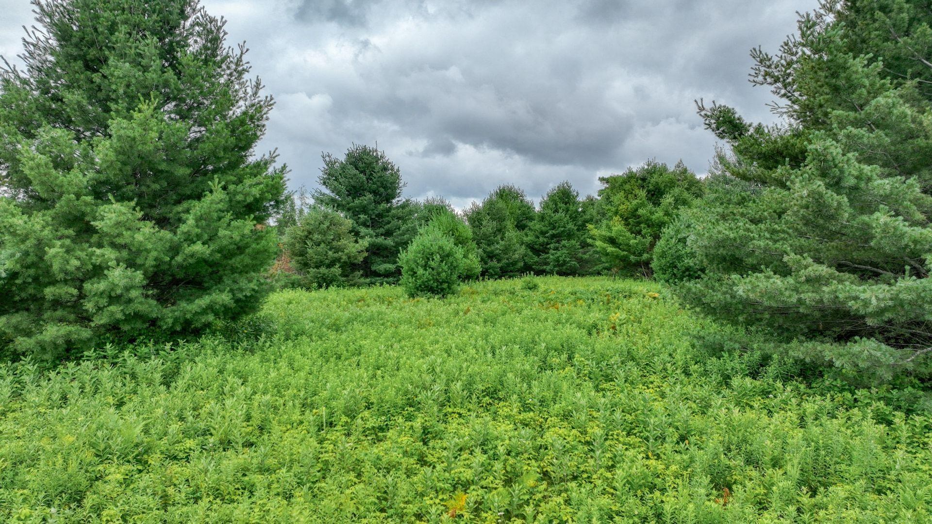 Property photo for 4E Twin Lake Road, Hayward, WI 54843