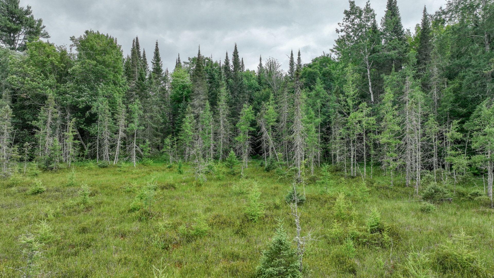 011_dji_0151_11_407.jpg