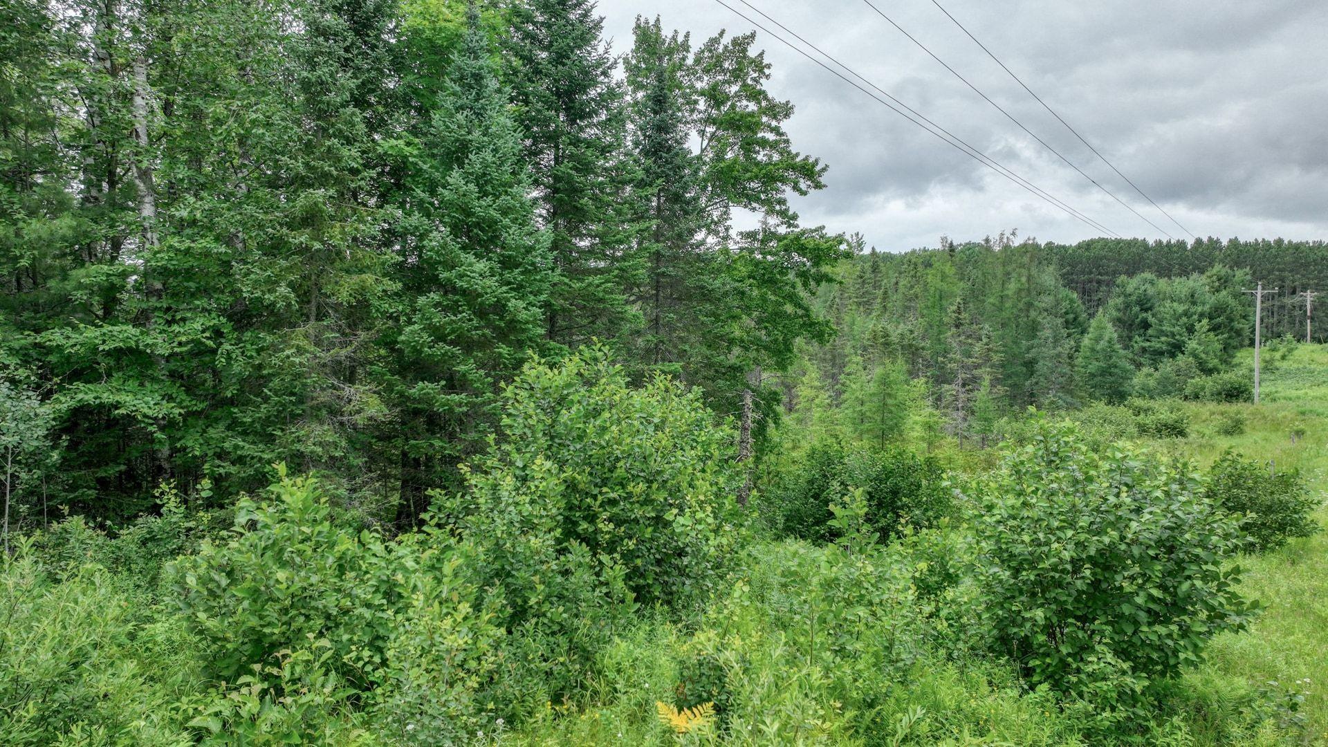 012_dji_0160_12_817.jpg